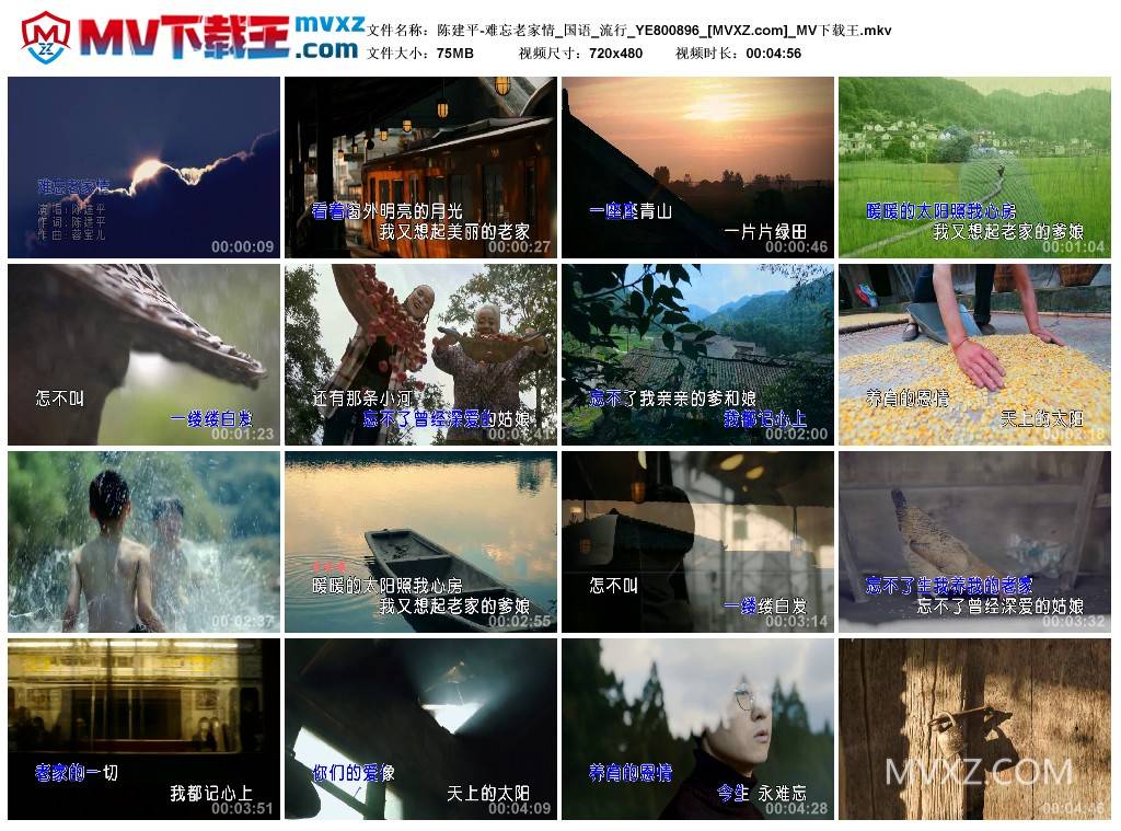 陈建平-难忘老家情_国语_流行_YE800896